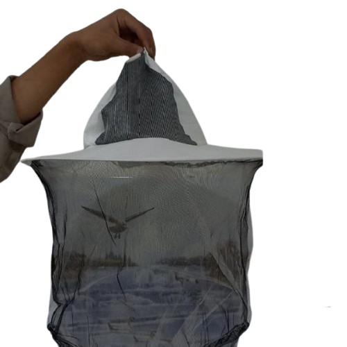 کلاه